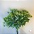 BUQUE FOLHAGENS VERDE CLARO FLORZINHA 24X21CM - Imagem 4