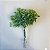 BUQUE FOLHAGENS VERDE CLARO FLORZINHA 24X21CM - Imagem 3