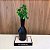 GARRAFA DECOR BEGE OU PRETO 33cm - Imagem 2