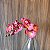 HASTE ORQUIDEA X10 ROSA COM AMARELO - Imagem 2