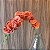 HASTE ORQUIDEA X9 LARANJA - Imagem 2