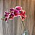 HASTE ORQUIDEA ROSA - Imagem 2