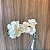 HASTE ORQUIDEA X9 PVC BRANCA - Imagem 2