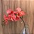 HASTE ORQUIDEA TOQUE REAL - ROSA - Imagem 2