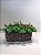 ARRANJO OVAL COM FOLHAGEM E MINI FLORXINHAS ROSA PINK - Imagem 1