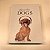 CAIXA BOOK / LIVRO CAIXA - DOG GRANDE . - Imagem 4