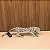LEOPARDO SILVER PRATA - Imagem 2