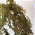 PENDENTE FOLHAGEM ARTIFICIAL - Imagem 3
