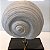 ESCULTURA MARESIAS CONCHA OFF WHITE - PEQUENA. - Imagem 5