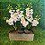 ARRANJO COM MINI ORQUIDEAS E CACHEPOT RETANGULAR 41X29X14CM - Imagem 1