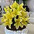 ARRANJO COM LÍRIO AMARELO E CACHEPOT BRANCO 64X45CM - Imagem 4