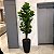 ARRANJO DE CHAO FICUS TOQUE REAL COM VASO DE PLÁSTICO PRETO 2,17M - Imagem 1