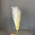 HASTE CAPIM PLUMA 70CM - Imagem 3