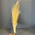 HASTE PLUMA PALHA  1,02M - Imagem 1