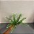 BUQUE FOLHAS COM COMPLEMENTO 39CM - Imagem 2