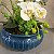 ARRANJO COM MINI ORQUÍDEAS BRANCAS E VASO AZUL DE CERAMICA - Imagem 3