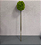 FOLHA ASPARGO VERDE OLIVA E VERDE 71cm - Imagem 5