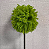 FOLHA ASPARGO VERDE OLIVA E VERDE 71cm - Imagem 4