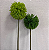 FOLHA ASPARGO VERDE OLIVA E VERDE 71cm - Imagem 1