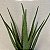 FOLHA ALOE 56CM - Imagem 2