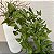 PEDENTE FOLHAS VERDES - Imagem 3