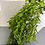 PENDENTE FOLHAS - Imagem 3