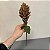 HASTE FLOR BROMELIA - Imagem 1