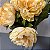 BQ PEONIA X5 AMARELO - Imagem 3