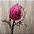 Haste Protea 55cm - Imagem 2
