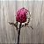 Haste Protea 55cm - Imagem 3