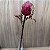 Haste Protea 55cm - Imagem 1