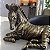 ESCULTURA ZEBRA EM POLIRESINA - Imagem 3