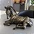 ESCULTURA ZEBRA EM POLIRESINA - Imagem 2