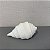 ESCULTURA CONCHA EM CERAMICA - Imagem 1