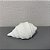 ESCULTURA CONCHA EM CERÂMICA (modelos) - Imagem 3