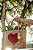 Gift Crochet - Imagem 6