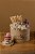 Gift Bday - Imagem 1