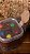Baldinho de Brownie com Nutella (250g) - Imagem 1