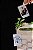 Café Time Completo - Para Compartilhar - Imagem 5