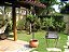 Churrasqueira Inox Com Grelha - Imagem 2