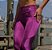 Legging Aruba Recortes e Bolso - Violeta - Imagem 2
