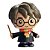 Fandombox Harry Potter Hp Colecionáve - Imagem 1