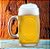 Caneca Chopp Fritz 475ml - Imagem 1
