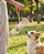 Garrafa Bebedouro e Comedouro Portátil com corda para Pets - Imagem 9