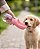 Garrafa Bebedouro Portátil Água para Pets - Imagem 7