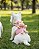 Kit Peitoral H Urso+ Guia Urso - Imagem 4