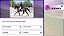 Equestrian Training Switch Midia Fisica - Imagem 5