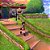 Pokemon Sword Switch Midia Fisica - Imagem 3