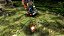 Pikmin 1 + 2 Switch Midia Fisica - Imagem 3