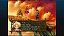 Chrono Cross The Radical Dreamers Edition Switch Midia Fisica - Imagem 4
